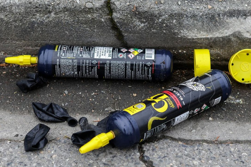 chien abandonné adopté sauveur