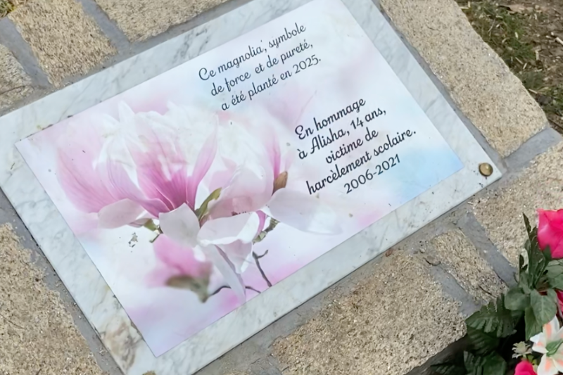 chien abandonné adopté sauveur