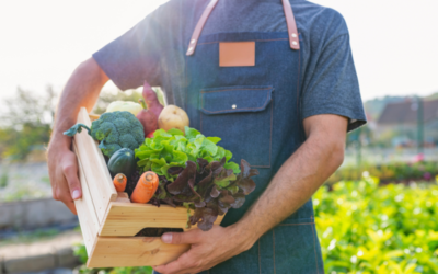 Manger bio permet-il d’être moins exposé au cadmium ?