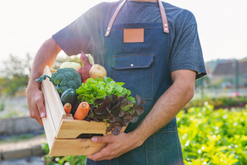 Cadmium : manger bio protège-t-il vraiment ?