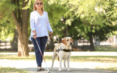 Discrimination à Bagnolet : une femme aveugle refoulée avec son chien guide
