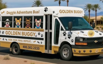 Insolite : un “bus pour chiens” vient chercher les animaux directement chez eux