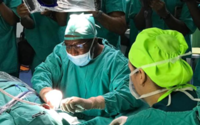 En Afrique du Sud, le professeur Mashudu Tshifularo a redonné l’audition à des patients grâce à des os de l’oreille imprimés en 3D