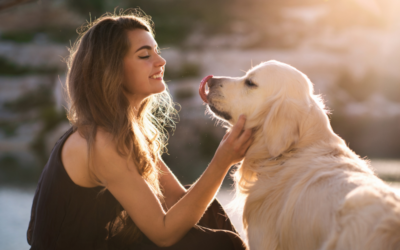 À Toulouse, des animaux aident les étudiants à réduire leur stress
