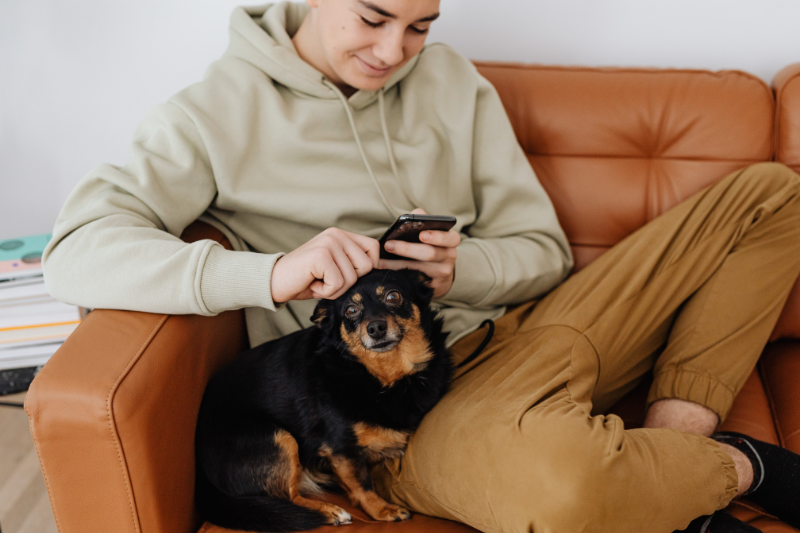 chien abandonné adopté sauveur