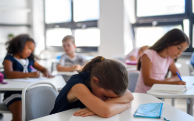 Landes : une école ferme après plus de 50 °C relevés dans les classes