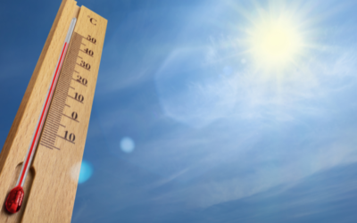 Canicule : jusqu’à 39 °C attendus dans plusieurs régions