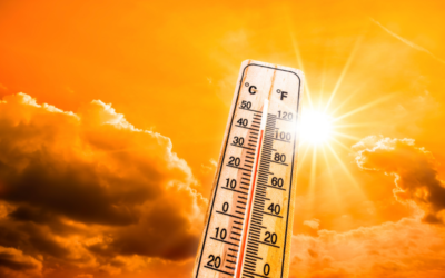Canicule : il fait actuellement plus chaud en France que dans 98,8 % du reste de la planète