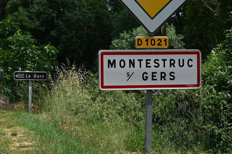 chien abandonné adopté sauveur