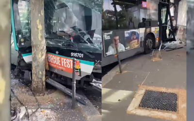 Canicule : un conducteur de bus fait un malaise, son véhicule termine sa course contre un arbre