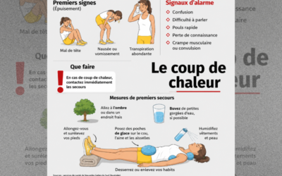 Le guide complet de la canicule 2026 : les conseils essentiels pour se protéger