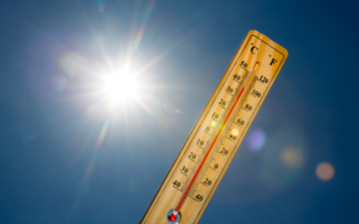 Canicule : le Pas-de-Calais placé en vigilance jaune ce jeudi