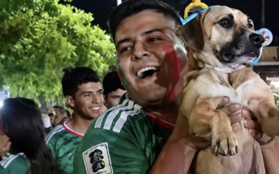 Mexique : une chienne retrouvée grâce à un live de la Coupe du monde