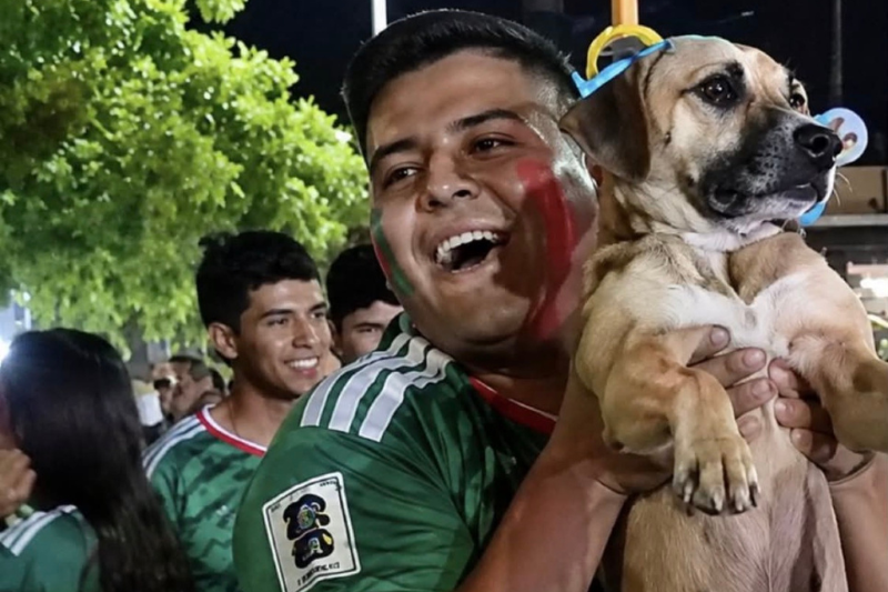 Mexique : une chienne retrouvée grâce à un live de la Coupe du monde