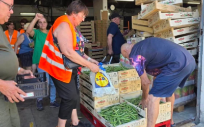 À Nîmes, quatre tonnes de fruits et légumes distribuées gratuitement pour éviter le gaspillage