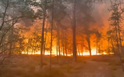 Incendies : 59 personnes interpellées en France, dont deux après le feu de Fontainebleau