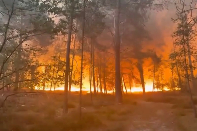 Incendies : 59 interpellations, dont 2 à Fontainebleau