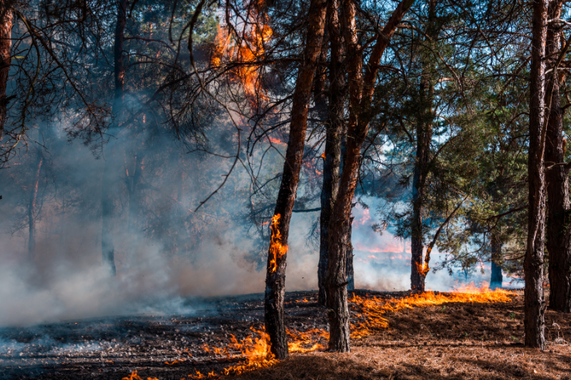 Incendies en Gironde : les fumées menacent aussi la santé – (illustration)