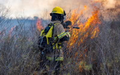 Neuilly-sur-Marne : 2,5 hectares d’un parc détruits par un incendie provoqué par des enfants