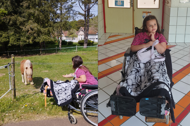chien abandonné adopté sauveur