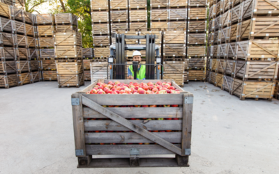 Nîmes : trois tonnes de fruits et légumes distribuées gratuitement aux habitants
