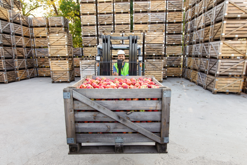 Nîmes : trois tonnes de fruits et légumes distribuées gratuitement aux habitants