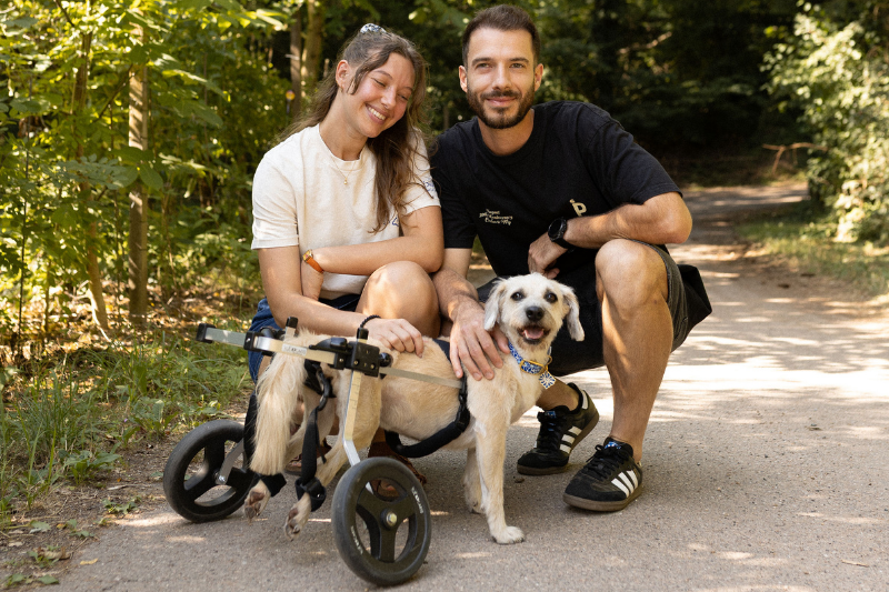 Paraplégique, Marla franchit l’arrivée de la CCC à Chamonix