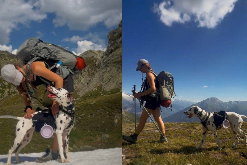 Nathalia et Freya : 2 000 km pour les animaux maltraités