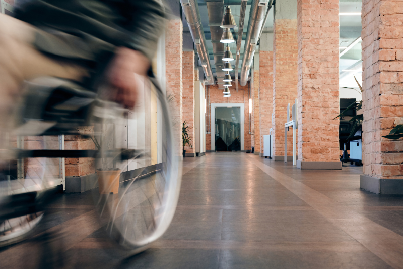 chien abandonné adopté sauveur