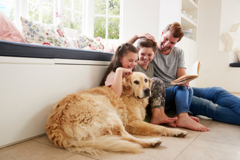 chien abandonné adopté sauveur