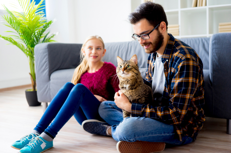 Droits des animaux : 30 Millions d’Amis veut un nouveau statut